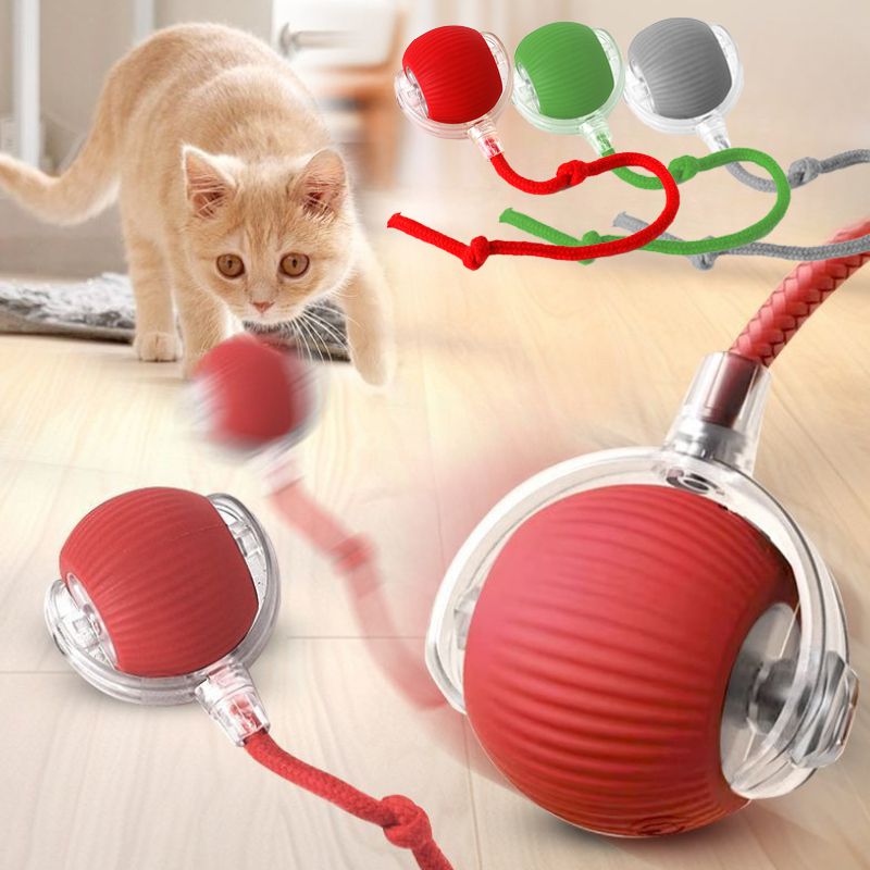 Smart Pet Rolling Ball with Teaser Sensor