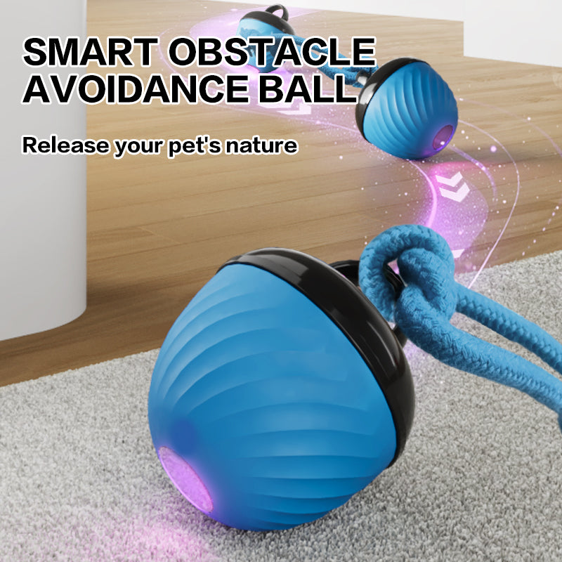 Interactive Moving Ball Pet Toy USB