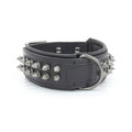 Leather Dog Collar with Spikes