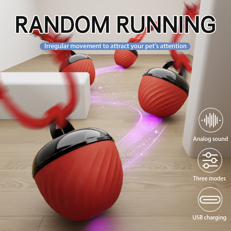 Interactive Moving Ball Pet Toy USB