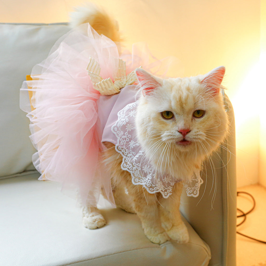 Pet Clothing Cat Clothes Lace Cat Dress