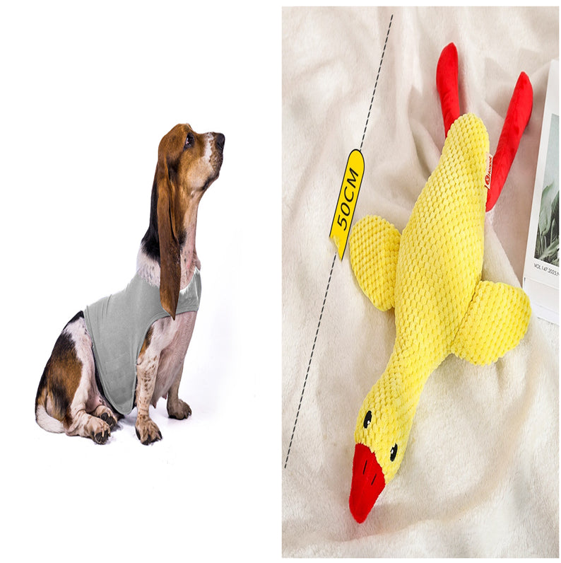 Anxiety Vest Summer Medical Treatment Jacket To Calm Down Dog Comfort Clothes