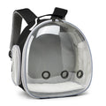 Small Animal Backpack Transparent Carrier - Hamster Guinea Pig Sugar Glider Ferret