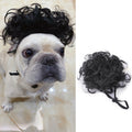 Halloween or Christmas Pet Wigs
