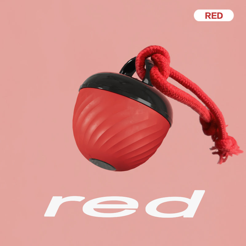 Interactive Moving Ball Pet Toy USB
