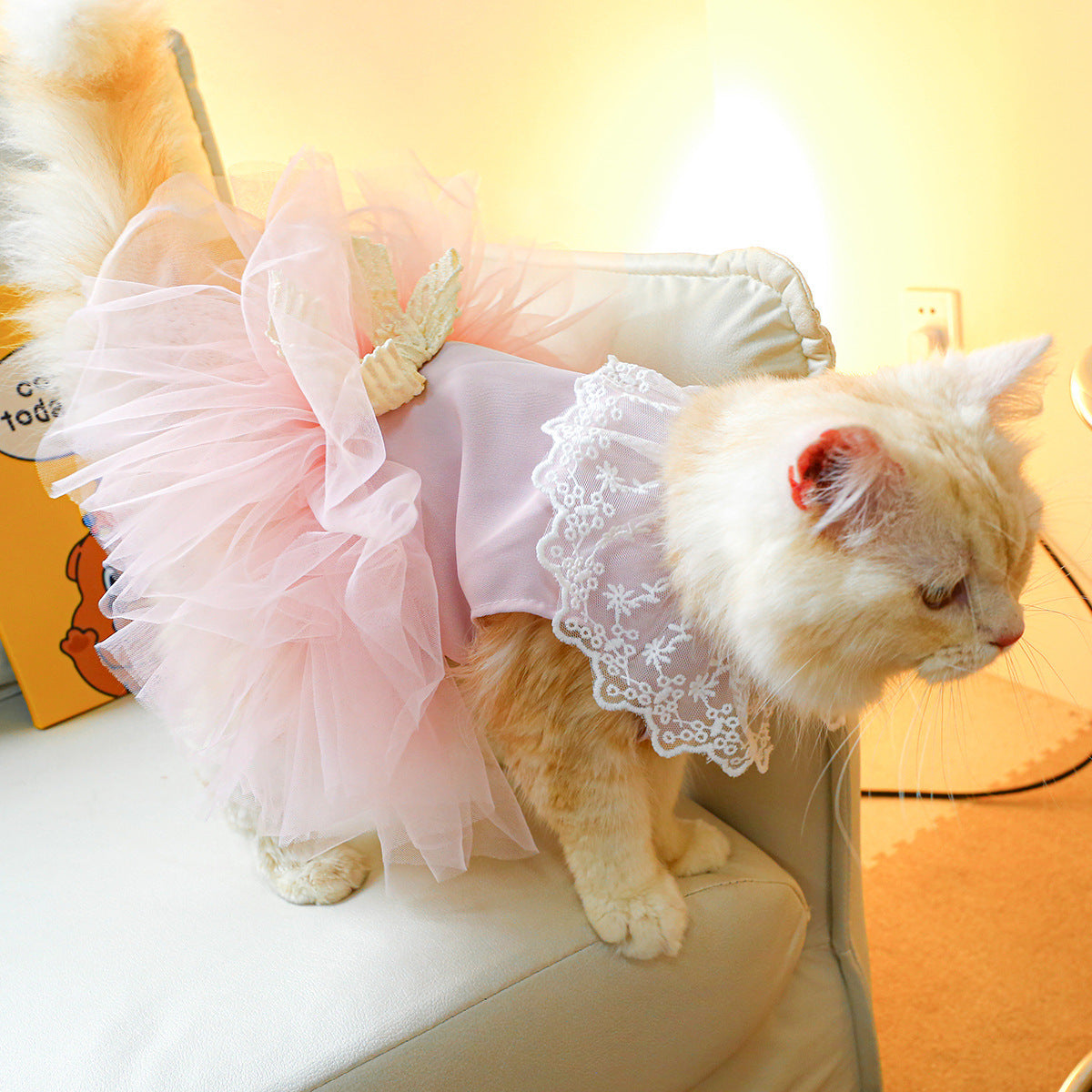 Pet Clothing Cat Clothes Lace Cat Dress