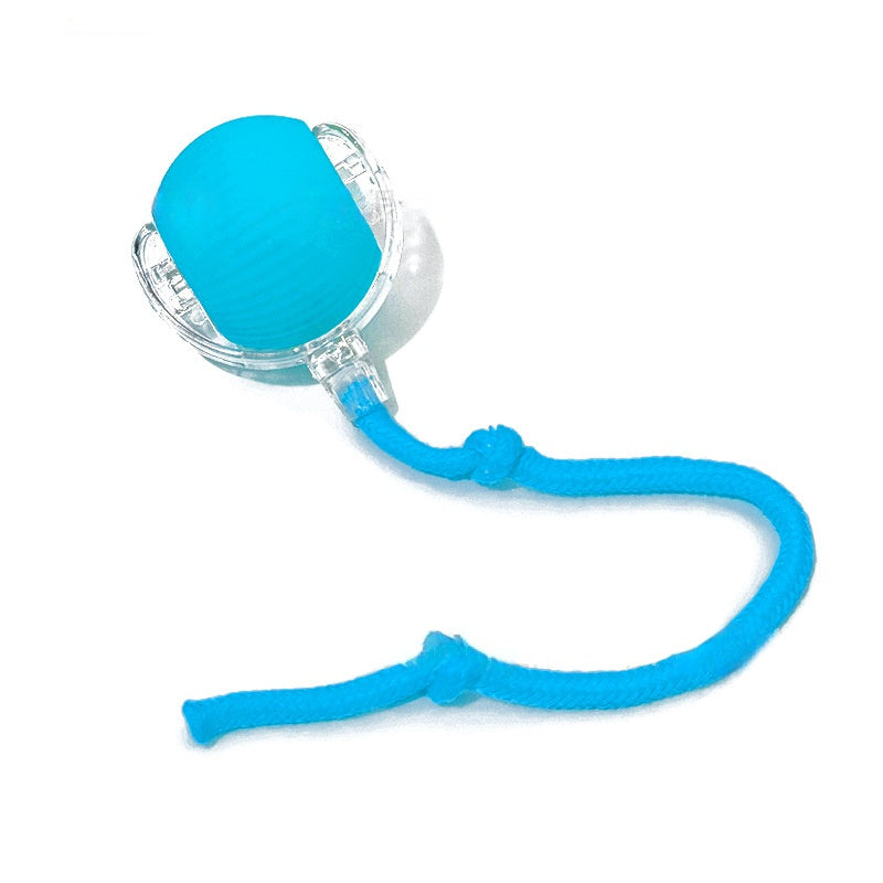 Smart Pet Rolling Ball with Teaser Sensor
