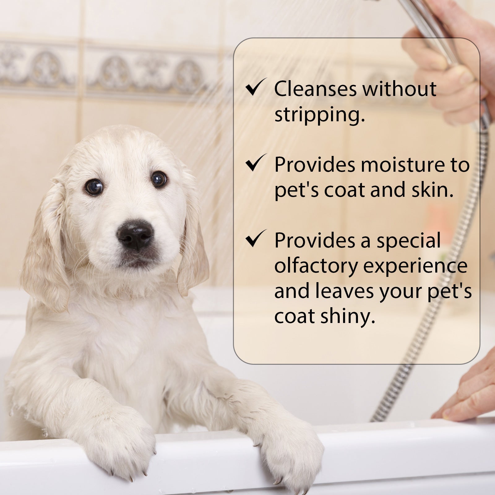 Pet Shampoo Mild Cat and Dog - Soft Hair and Unknotting Shampoo