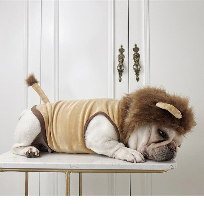 Lion Halloween Costume - Dog & Cat Clothes