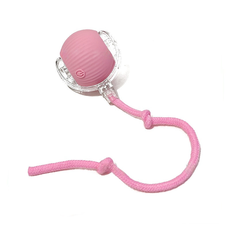 Smart Pet Rolling Ball with Teaser Sensor