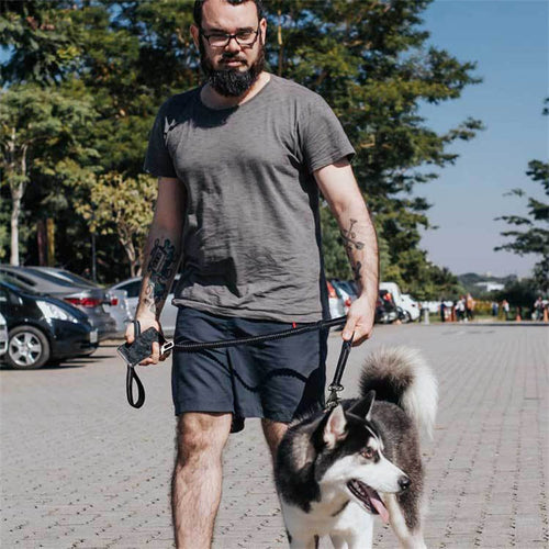 Adjustable Strong Bungee Dog Leash with Traffic Handle and Car Seatbelt Clip