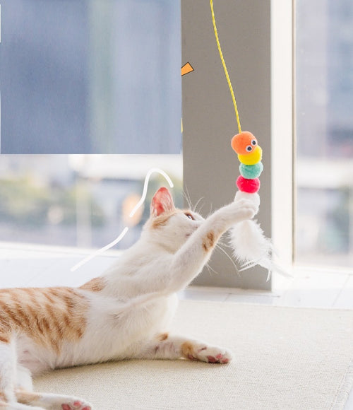 Cat Swing Toy