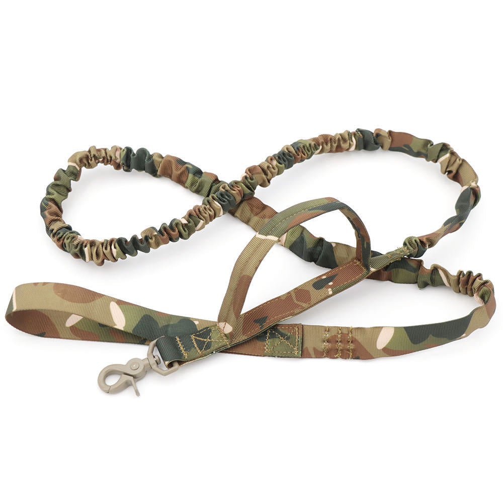 Elastic Buffer Traction Rope Leash