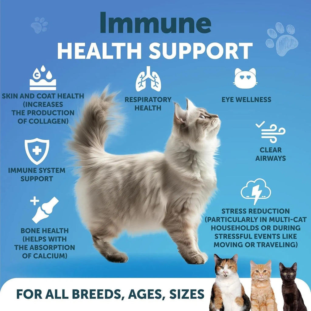 L Lysine For Cats Lysine Powder Supplement 900mg Serving Immune Support For Cats & Kittens Sneezing Runny Nose Squinting Watery Eyes Cold Eye Respiratory Health With Taurine