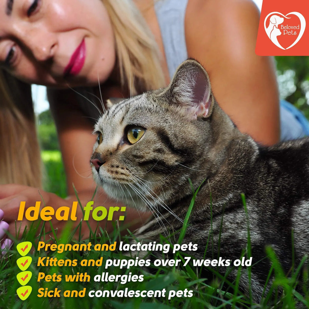 Flea and Tick Prevention for Dogs Cats Rabbits