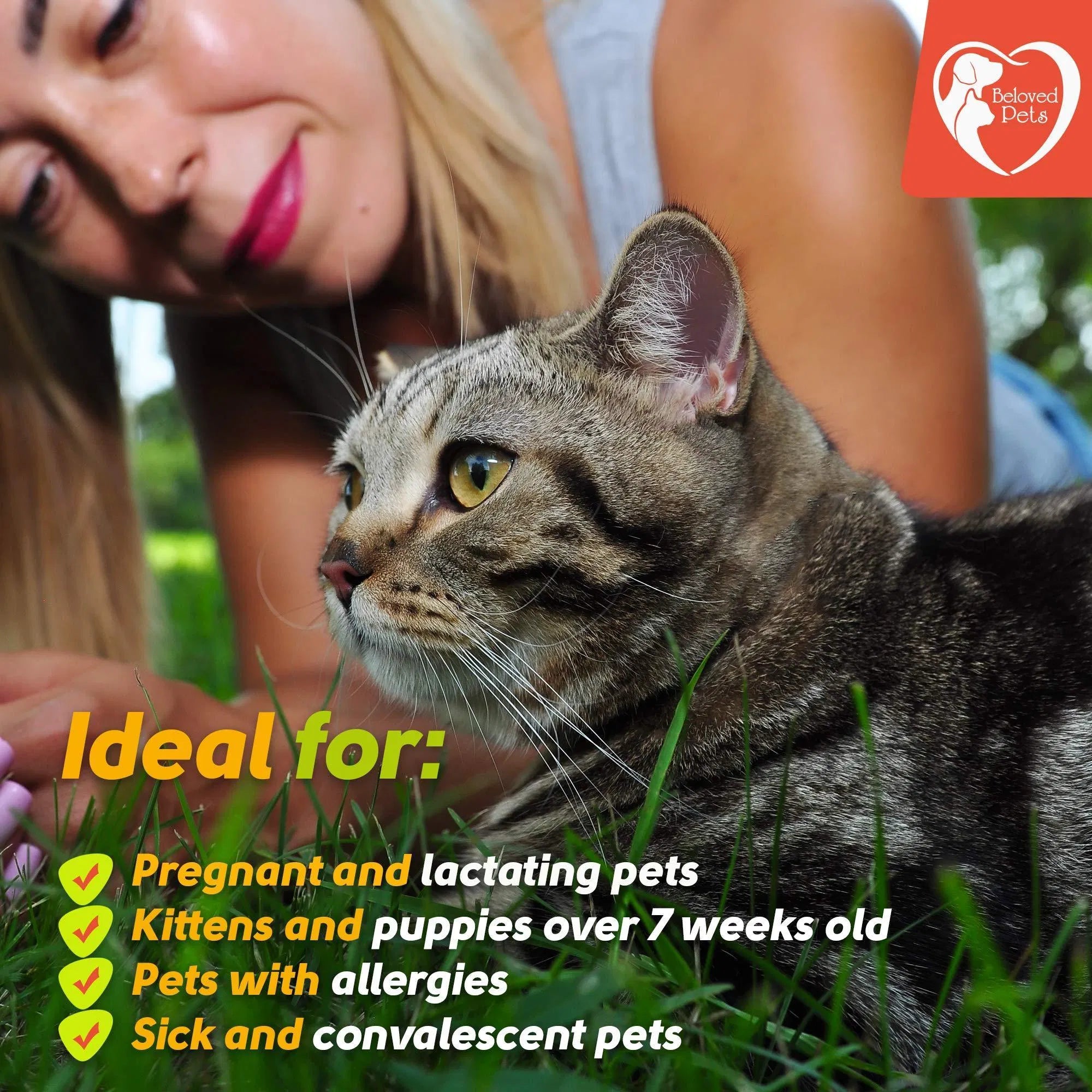 Flea and Tick Prevention for Dogs Cats Rabbits