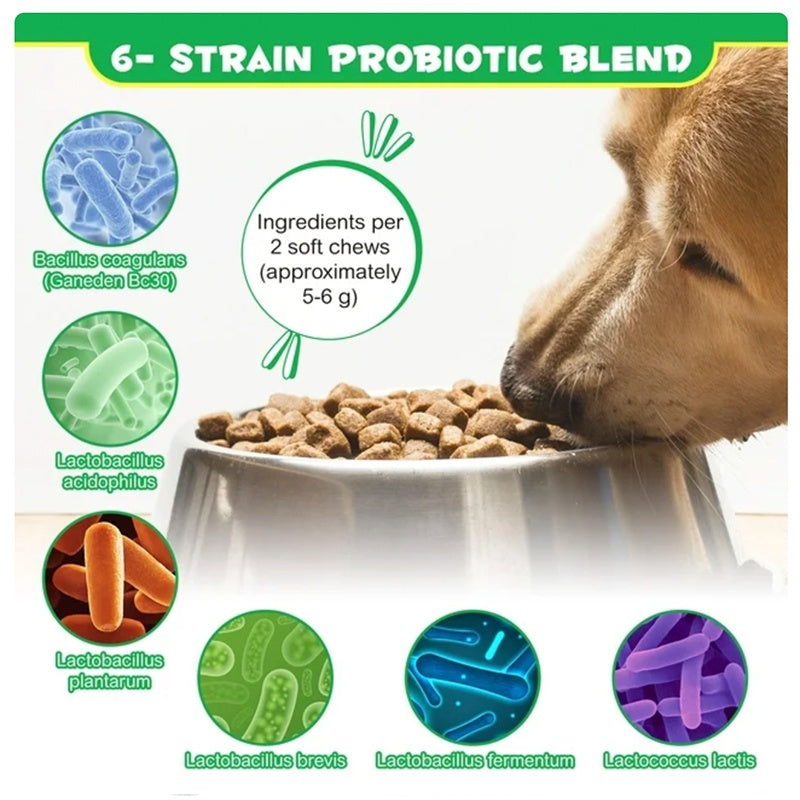 OEM Hot Sales Probiotics Chews For Pets Customized Shape For Digestive Health Pets Supplement Healthy Gut For Dogs