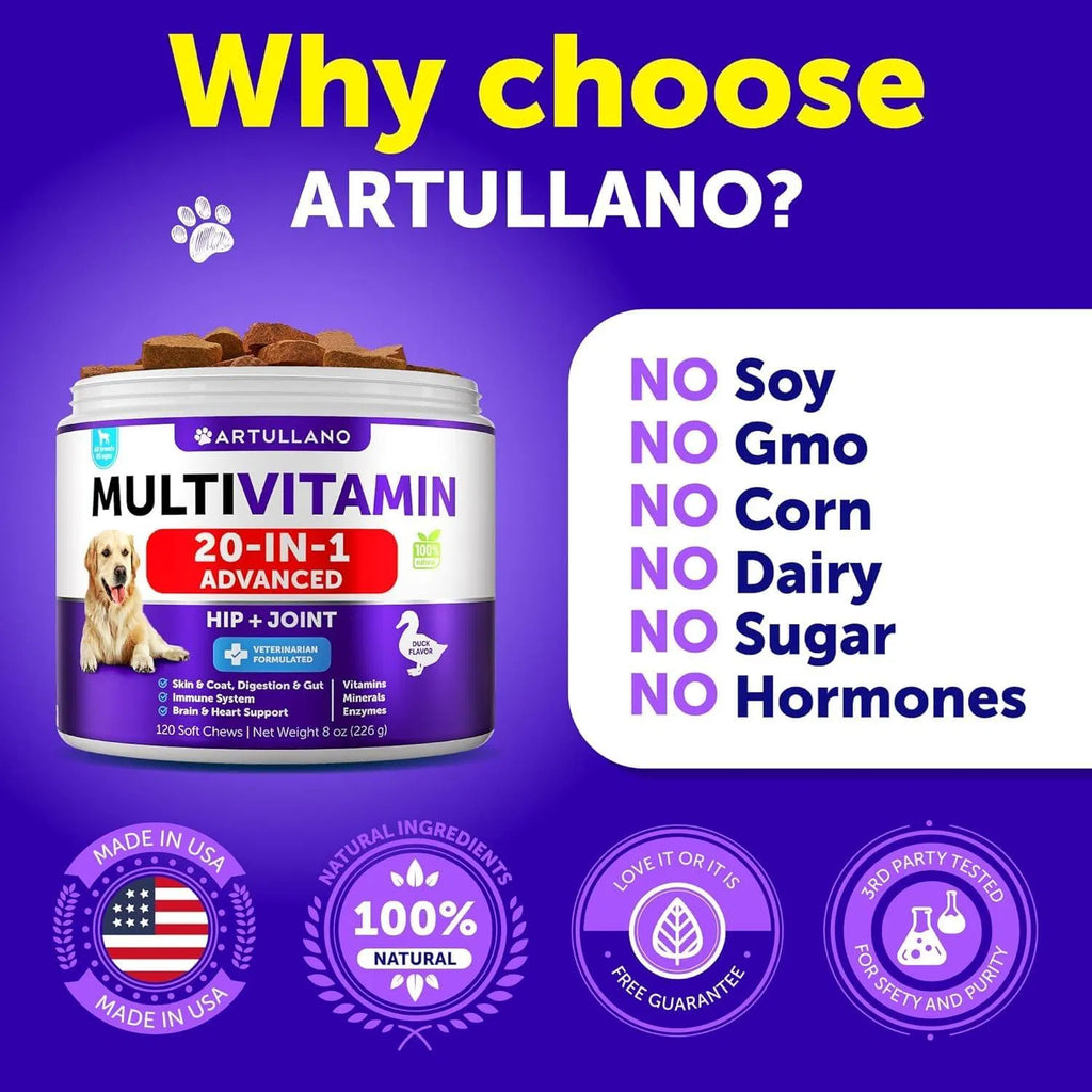 Dog Multivitamin Chew-able With Glucosamine 20 In 1