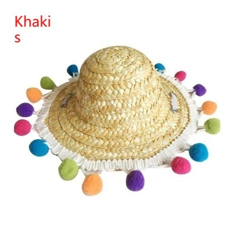 Pet Sunglasses and Pet Hat