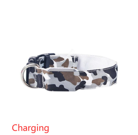 Camouflage LED Illuminated Dog Collar