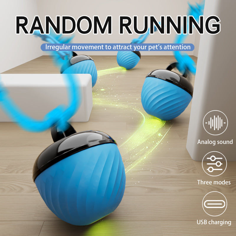 Interactive Moving Ball Pet Toy USB