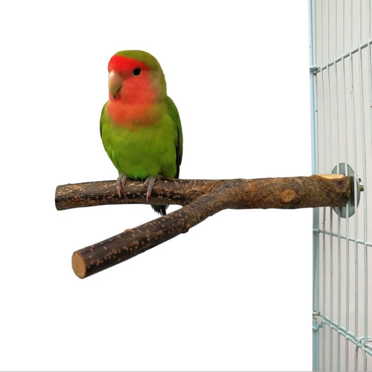 Bird Braided Applewood Perch