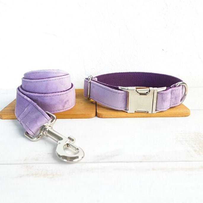 Pet Traction Belt Set