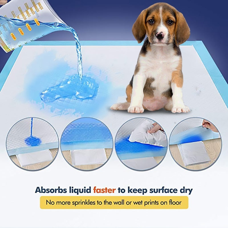 Pet Hygiene Absorbent Dog Pad Dog Diapers