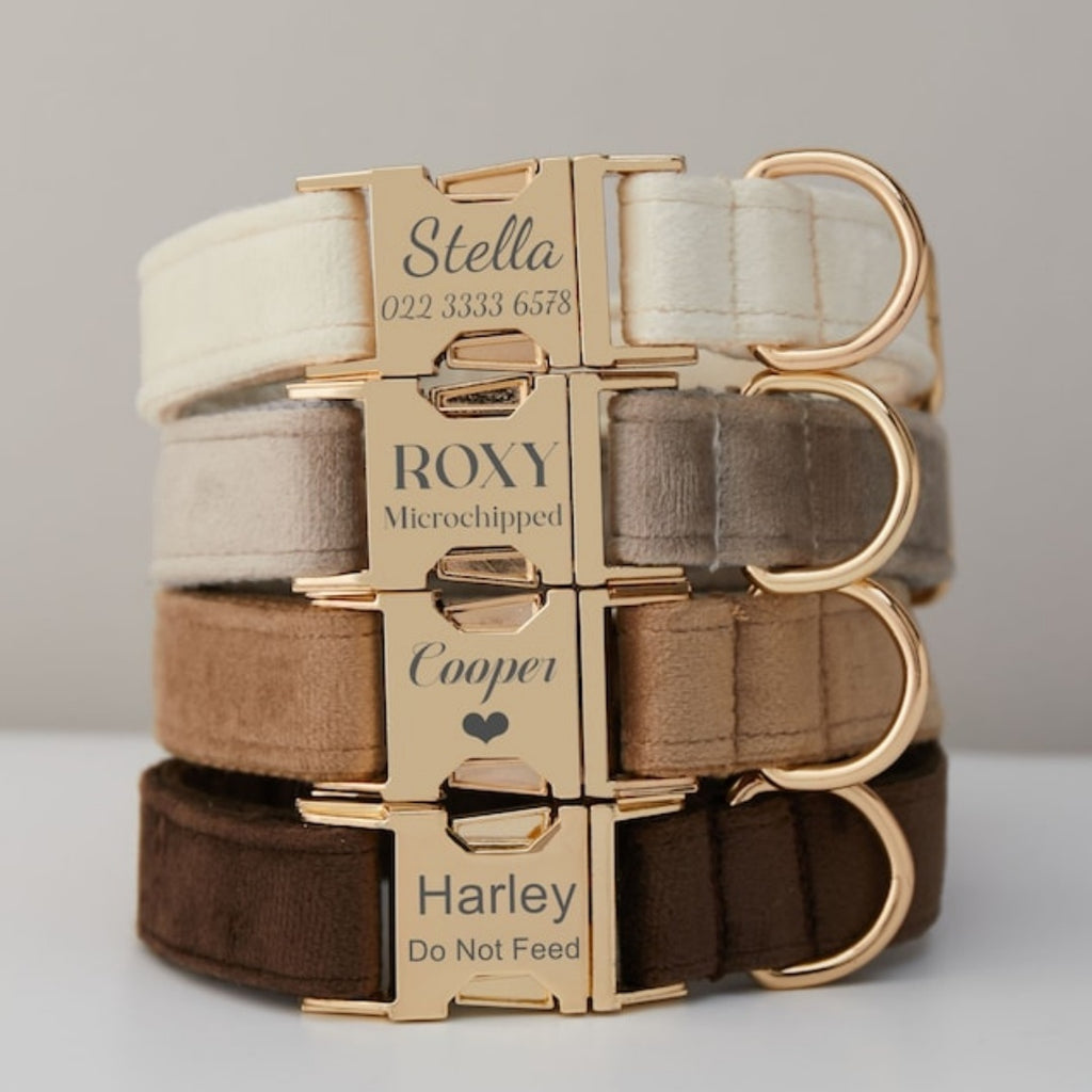 Multiple Colour Velvet Personalise Dog Collar Leash Set With Bow