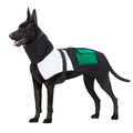 Padded Winter Dog Coat