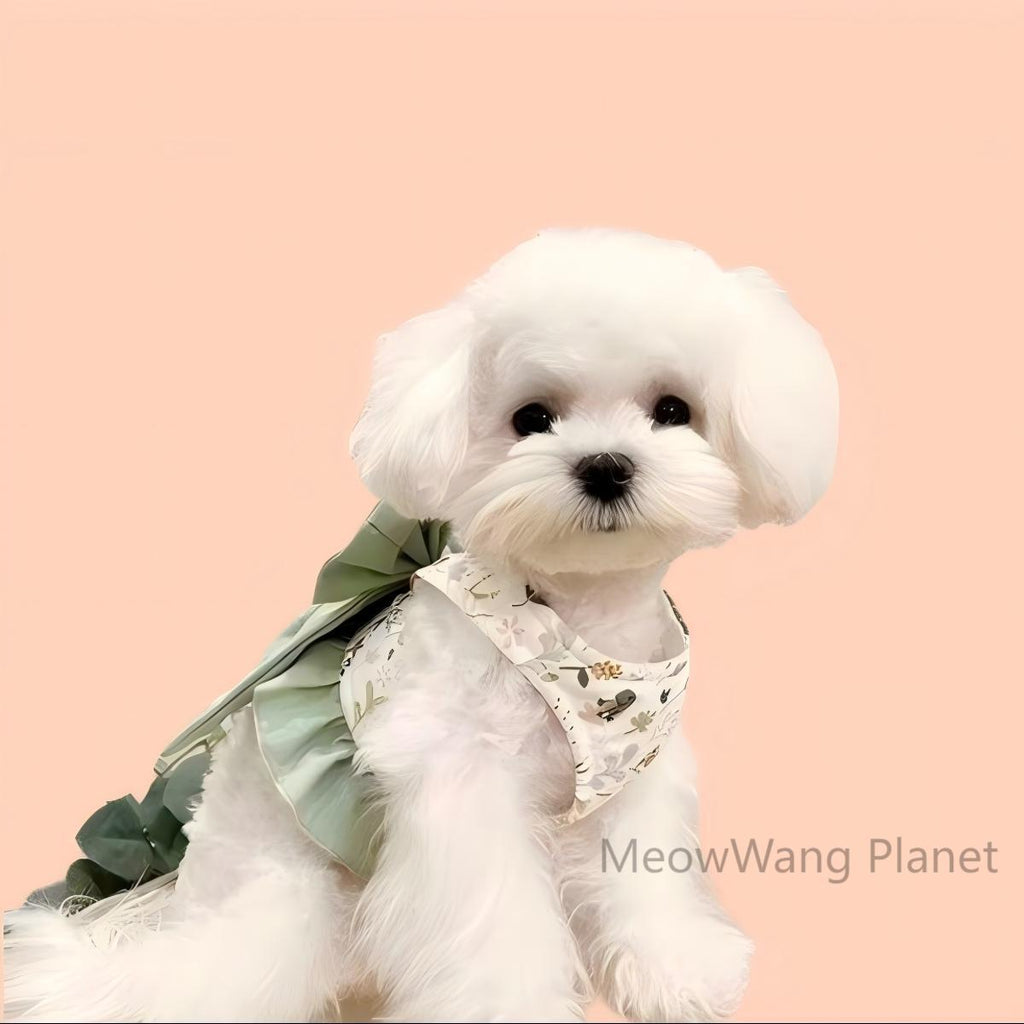 Pet Harness Leash Set Elegant Adjustable Half Vest Design For Cats Small Dogs Stylish Outdoor Walking Gear With Secure Escape Proof Fit Luxury Pet Gift For Cats Dogs