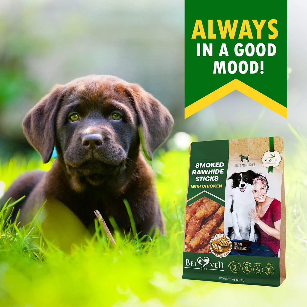 Smoked Rawhide Sticks Wrapped Chicken Dog Natural Chew Treats Grain Free Organic Meat Healthy Human Grade Dried Snacks In Bulk