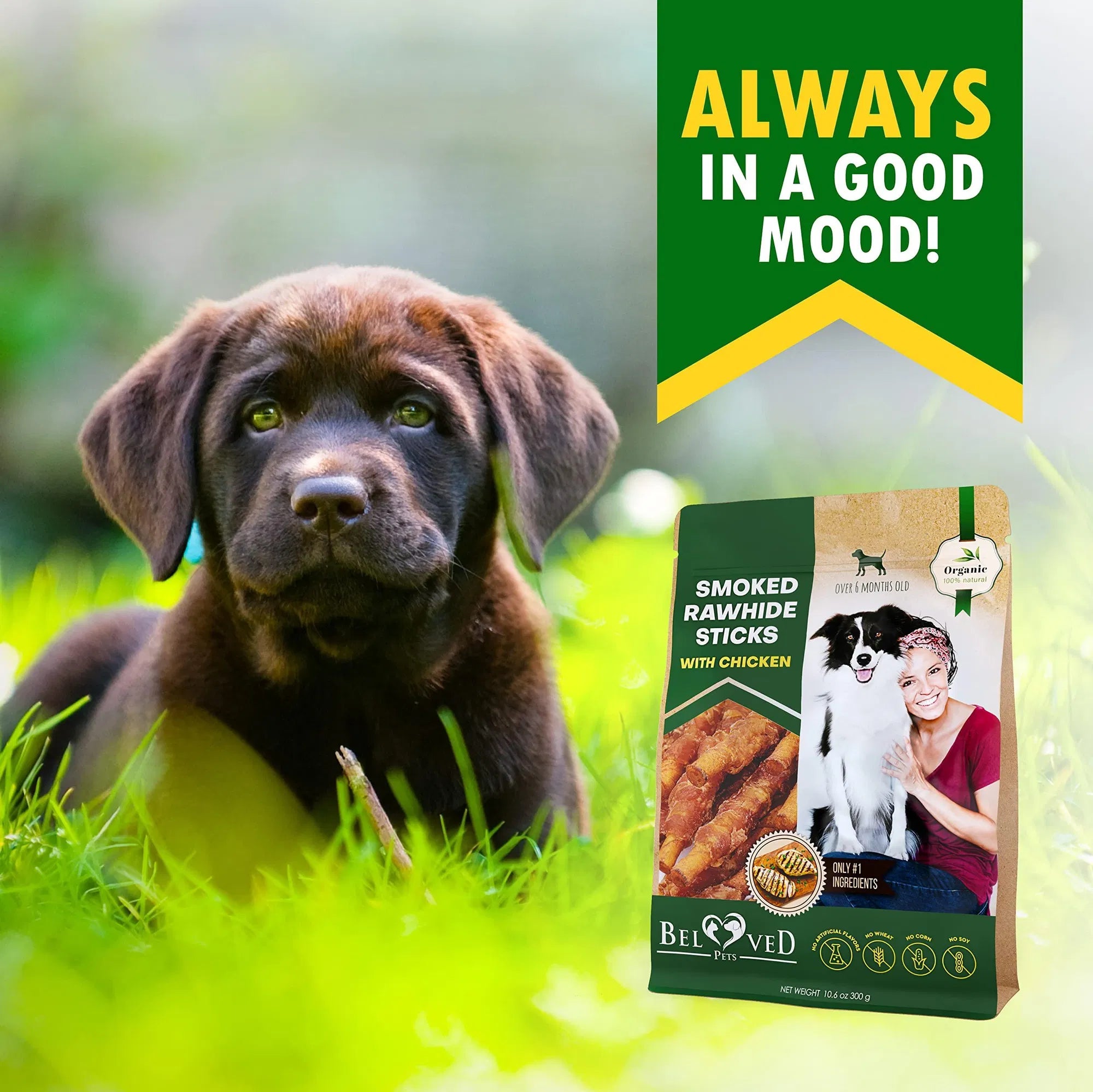 Smoked Rawhide Sticks Wrapped Chicken Dog Natural Chew Treats Grain Free Organic Meat Healthy Human Grade Dried Snacks In Bulk
