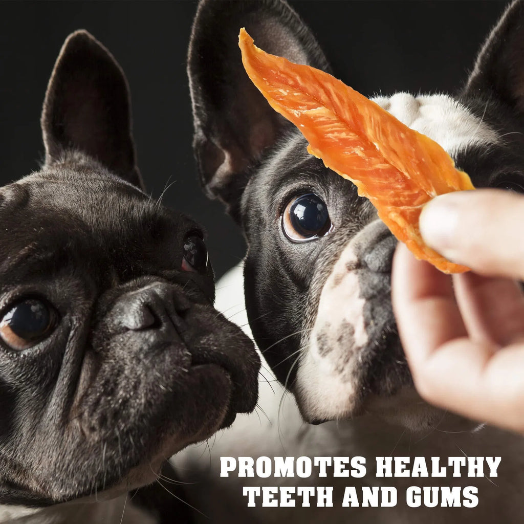 Dog Treats Chicken Jerky 1.5 Lb Human Grade, Grain Free Organic Meat High Protein Dried Strips Best Chews For Dogs