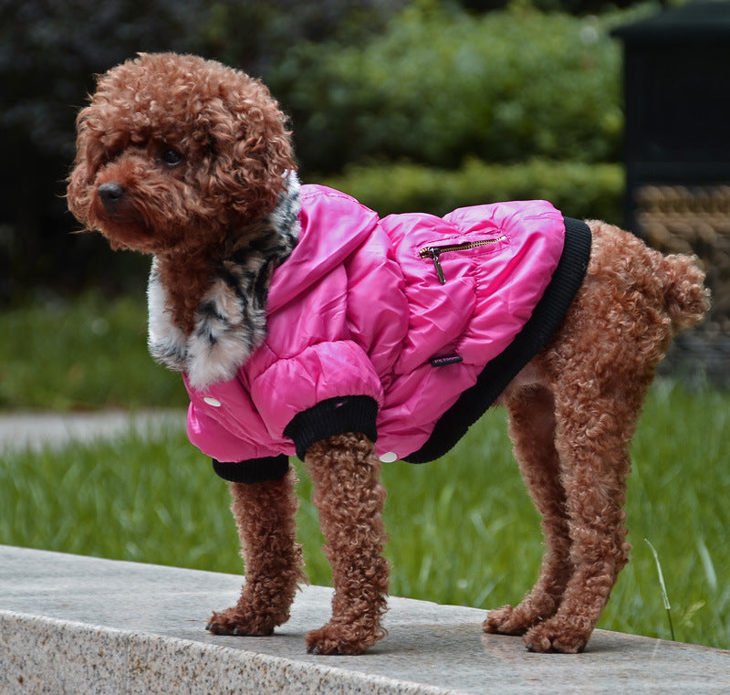 Zippered Cotton Padded Jacket For Pets