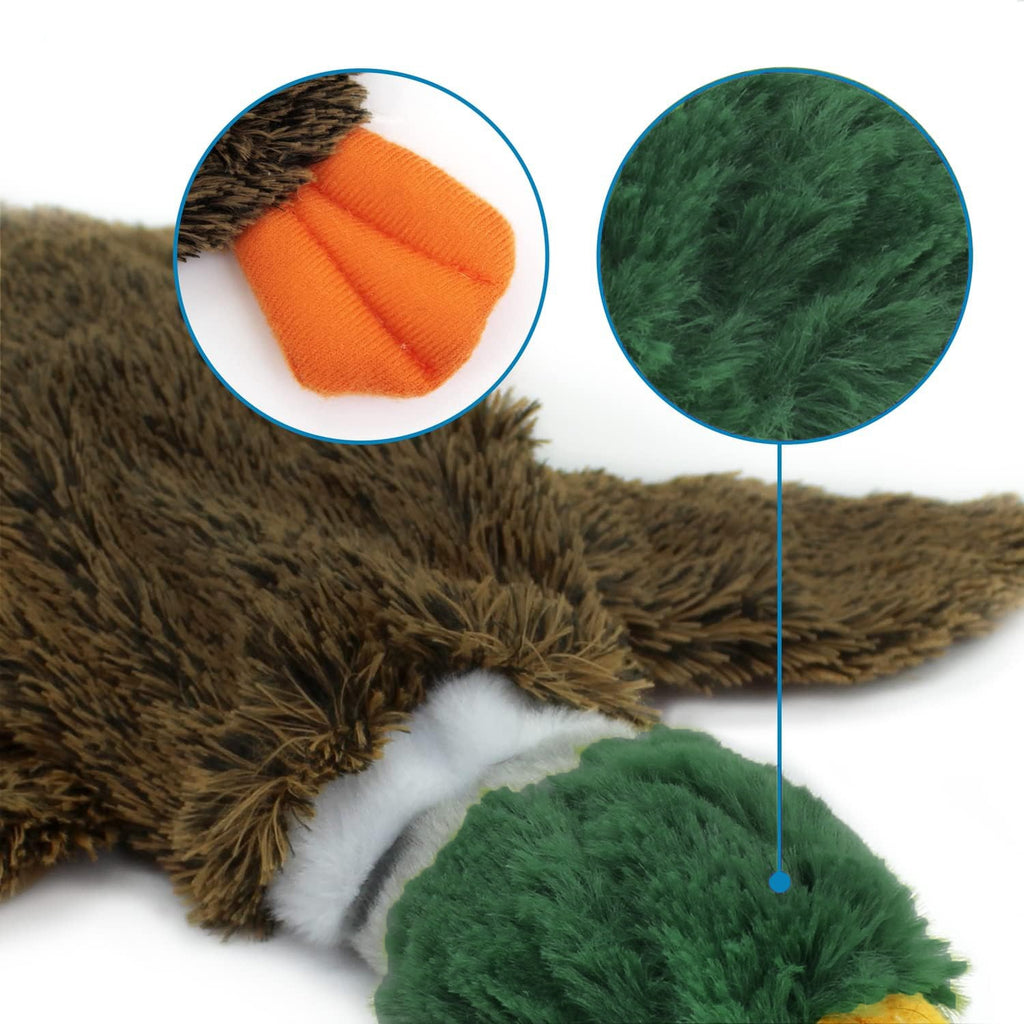Wild Duck Stuffless Squeaky Dog Toy