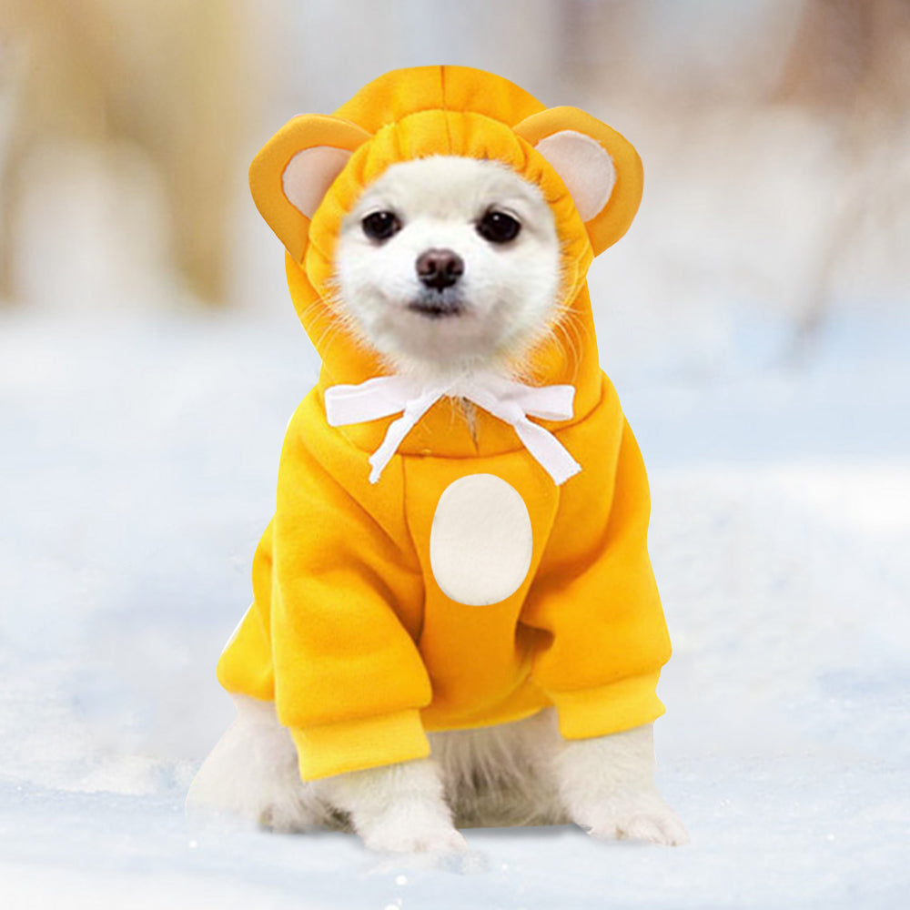 Cute Pets Turn In Clothes