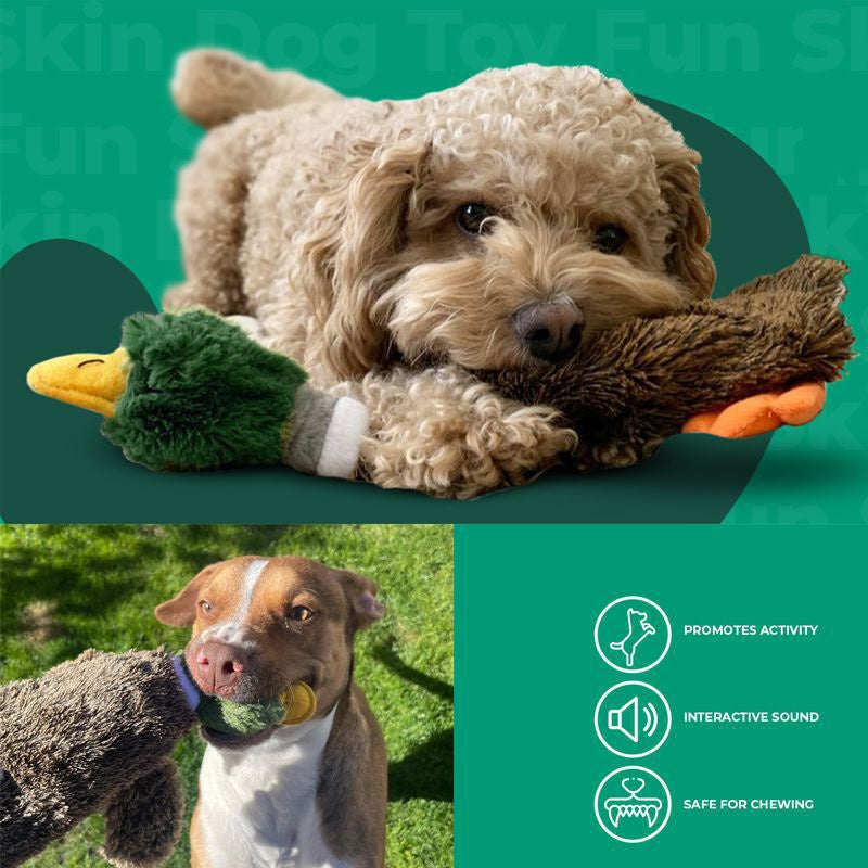 Wild Duck Stuffless Squeaky Dog Toy