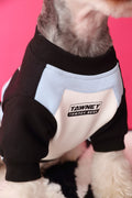 Dog Clothes Stitched Zipper Pullover Sweater