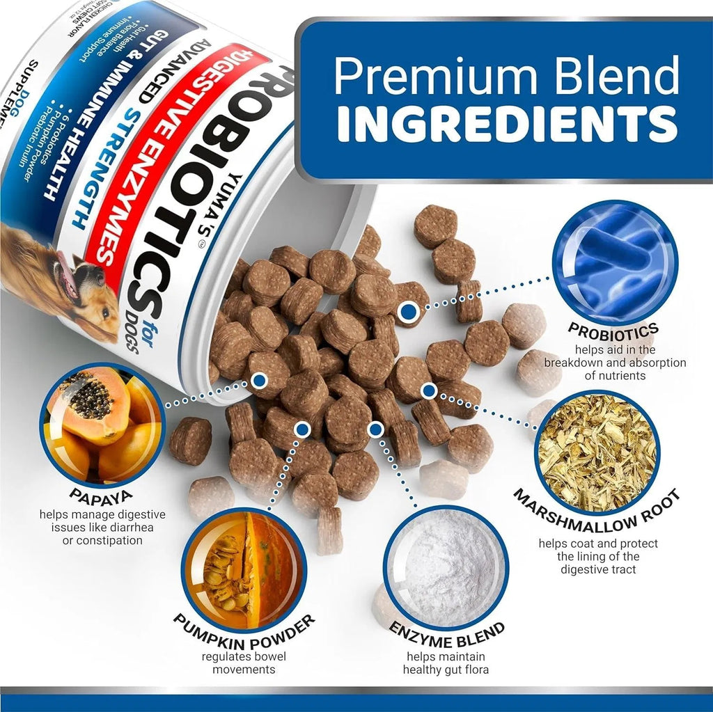 2 Pack Probiotics For Dogs And Digestive Enzymes Dog Probiotics Chews Anti Diarrhea Upset Stomach Gas Relief Constipation Canine Prebiotic Pet Fiber Supplement 340 Chews