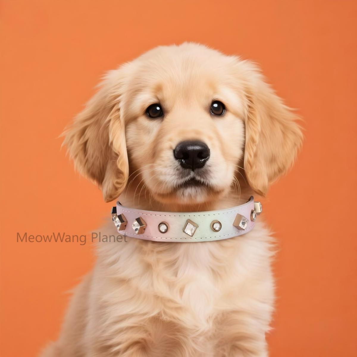 Dog Cat Collar Luxury Gemstone Pet Collar Leash Set Handcrafted Jewel Accented Necklace Style Neck Strap For Cats Small To Medium Dogs Elegant Adjustable Walking Accessory Luxury Pet Gift For Cats Dog