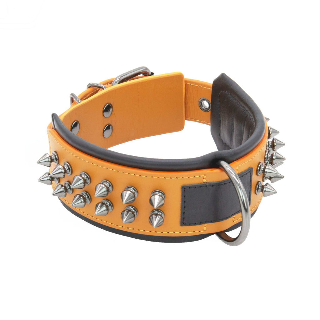Leather Dog Collar with Spikes