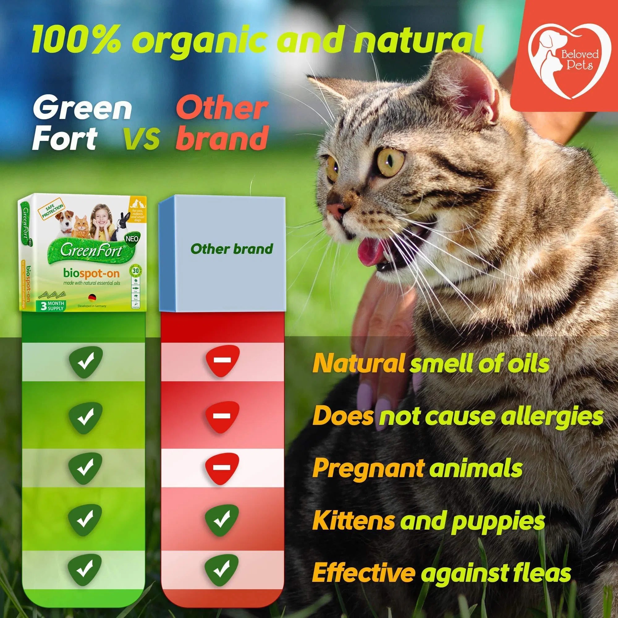 Flea and Tick Prevention for Dogs Cats Rabbits
