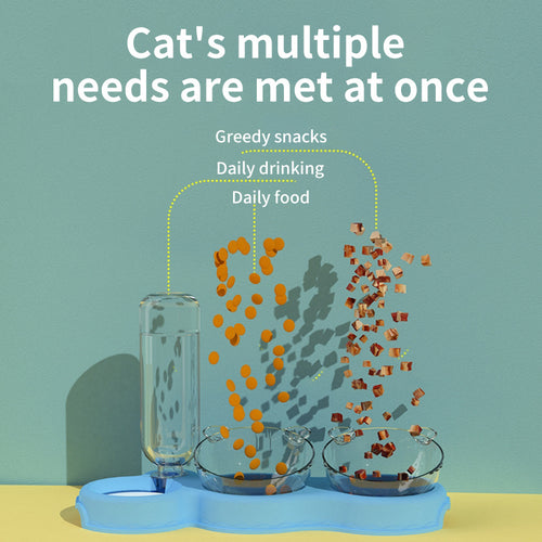 Cat Double Bowl & Automatic Drinking Water