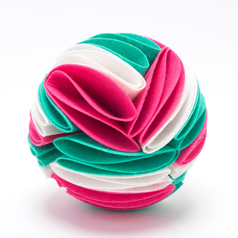 Pet Snuffle Ball Feeder Game