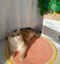 Sisal Cat Scratching Mat