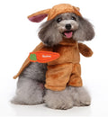 Pet Costumes