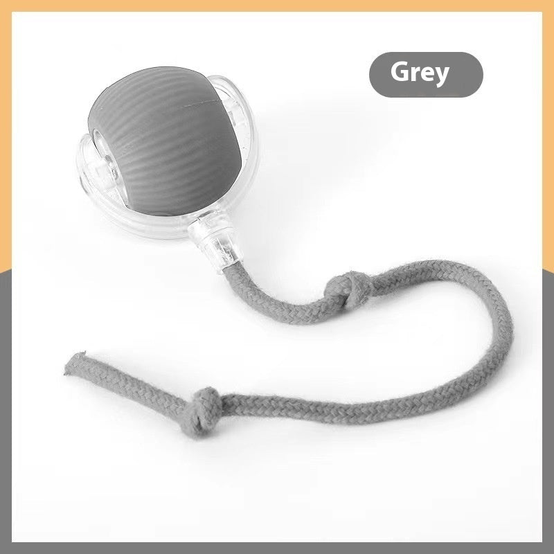 Smart Rolling Cat Toy