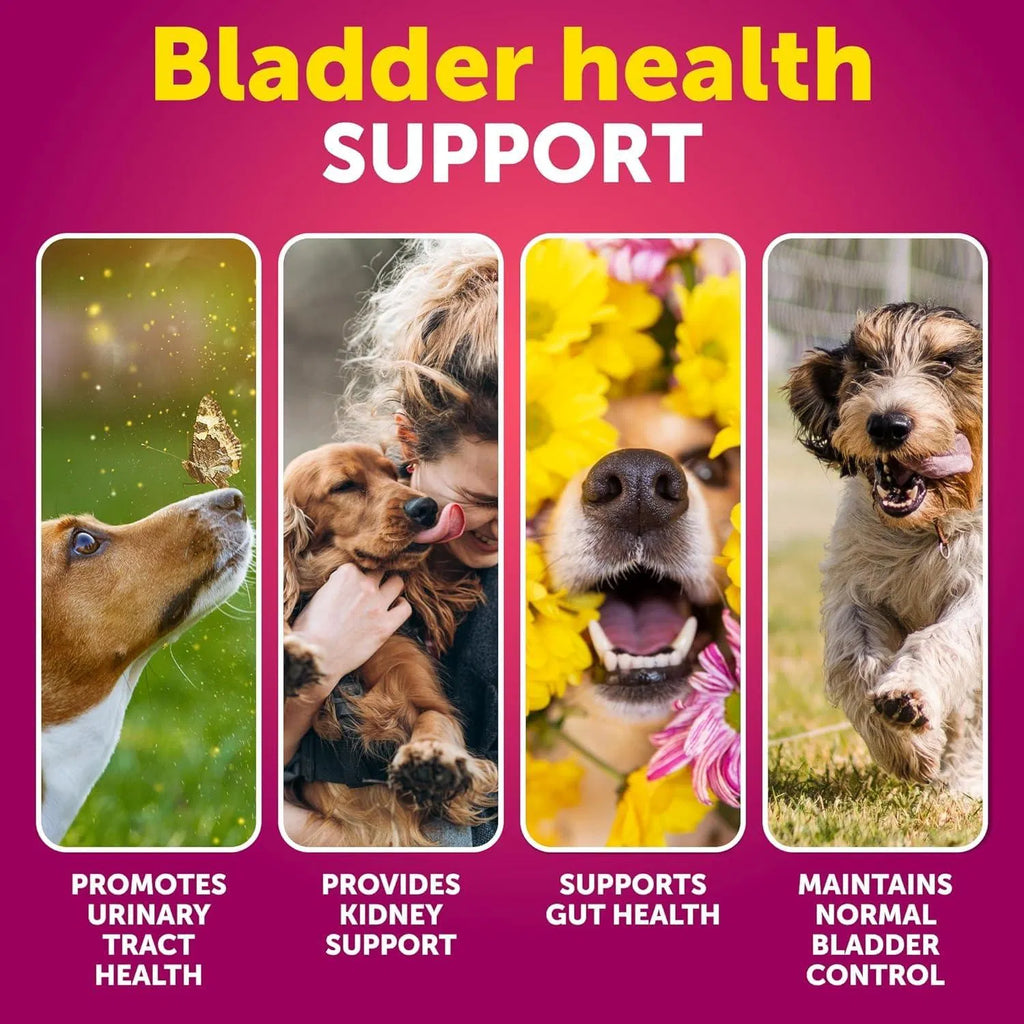Dog UTI Treatment Cranberry Supplement