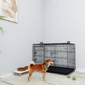 36 Inches Dog Cage Double Lock Mechanism Two Doors Two Handles Double Bolt